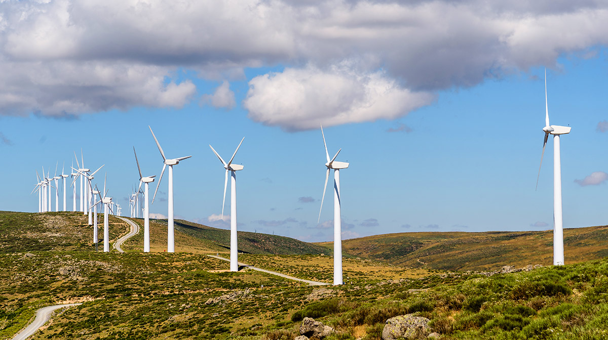 Generación de electricidad: Parque Eólico