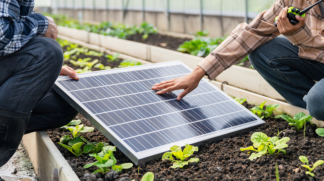 Sistemas de riego automáticos solares