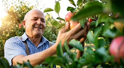 LUZ-AGRICOLA LUZ-AGRICOLA
